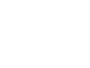 Dallas Real Estate Photographers The Big Picture Logo